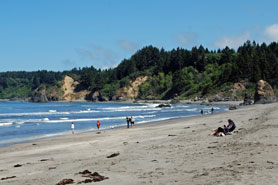 Trinidad Beach, California