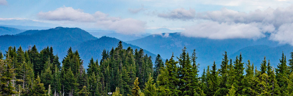 Forest, Oregon